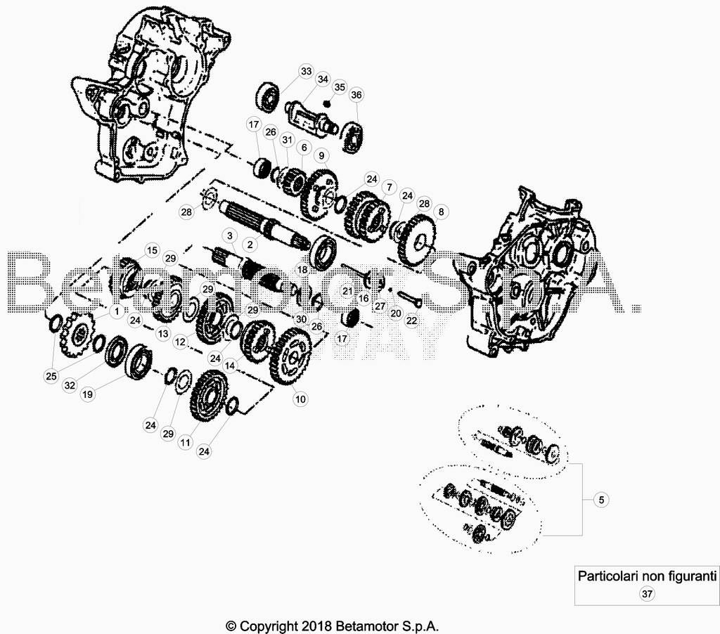 BOITE DE VITESSE POUR BETA 50 ENDURO SPORT 2019