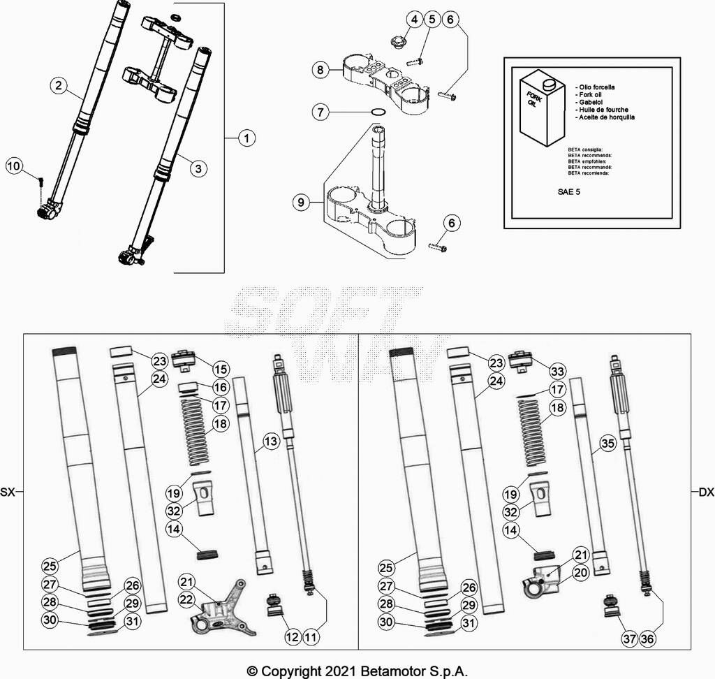 FOURCHE POUR 125 RR 2021