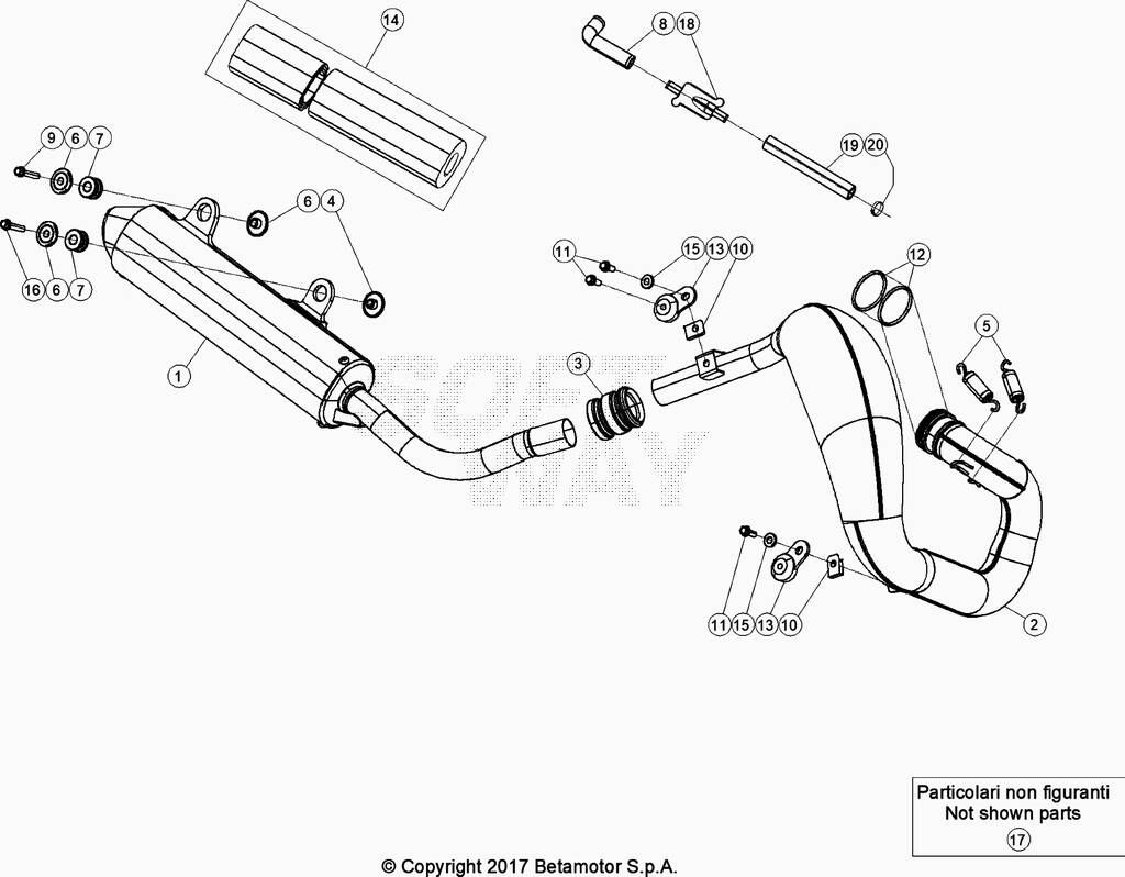 ECHAPPEMENT POUR 250 XTRAINER 2021